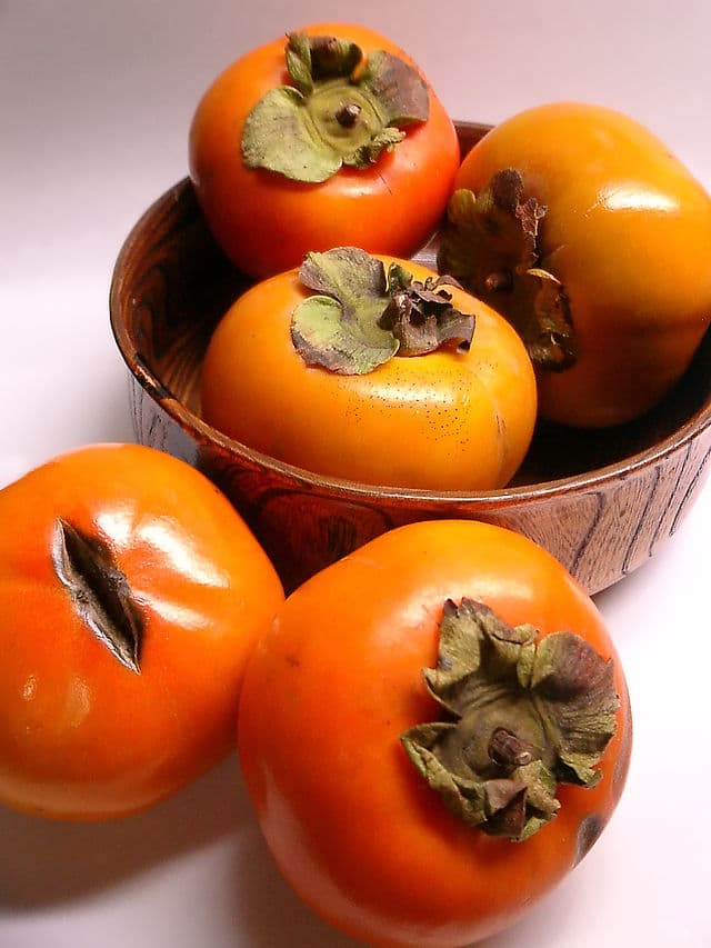 Japanese Persimmon